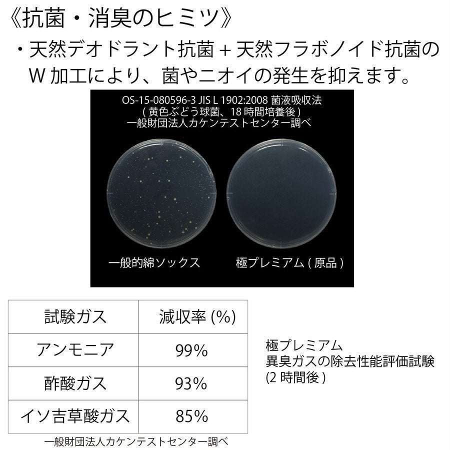 靴下極premiumメッシュソックス2足組先丸抗菌消臭藤本コーポレーション740