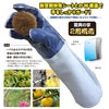 革手袋とげハンド革手袋柚子薔薇バラ棘収穫作業剪定作業M/L/LL富士グローブTH-700